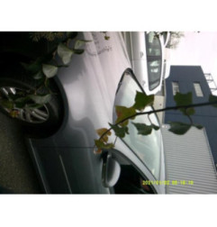 Demarreur VOLKSWAGEN GOLF 5 Photo n°10