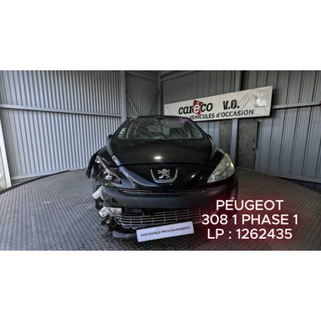 Mastervac PEUGEOT 308 1 Photo n°1