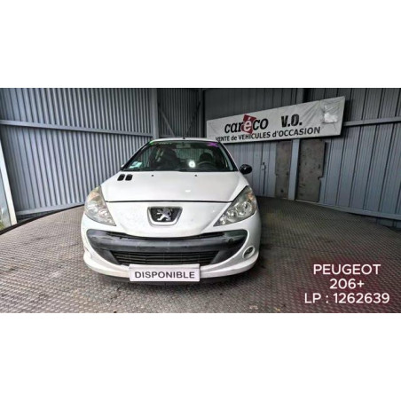 Mastervac PEUGEOT 206+ Photo n°1