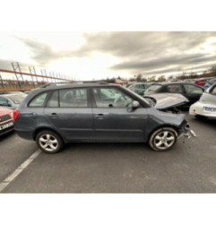 Porte arriere gauche SKODA FABIA 2 Photo n°5