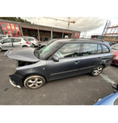 Porte arriere gauche SKODA FABIA 2 Photo n°13