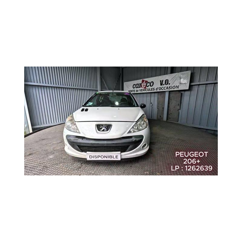 Mastervac PEUGEOT 206+