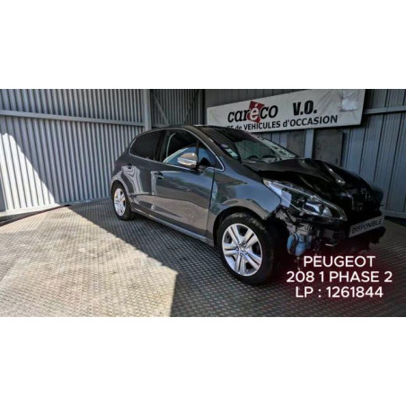Mastervac PEUGEOT 208 1