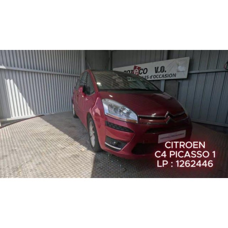 Mastervac CITROEN C4 PICASSO 1