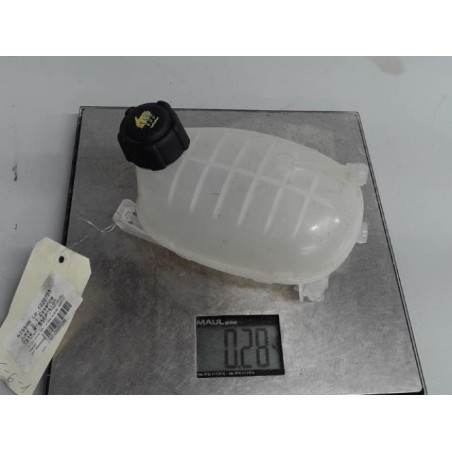 Vase d'expansion NISSAN JUKE 2 Photo n°1