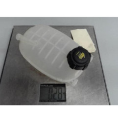 Vase d'expansion NISSAN JUKE 2