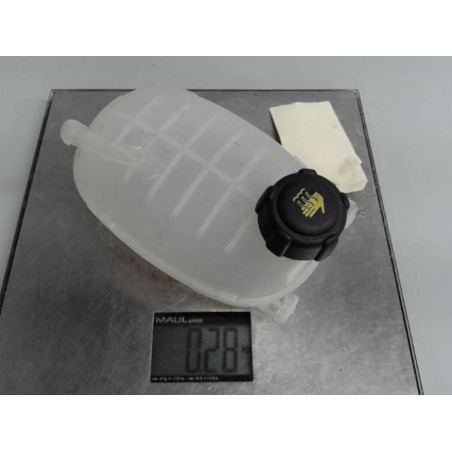 Vase d'expansion NISSAN JUKE 2