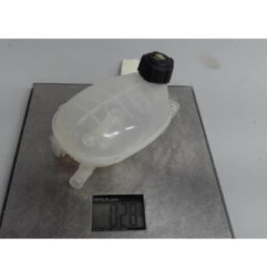 Vase d'expansion NISSAN JUKE 2 Photo n°3