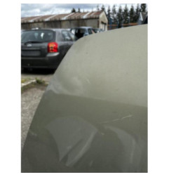 Capot VOLVO C 30 Photo n°4