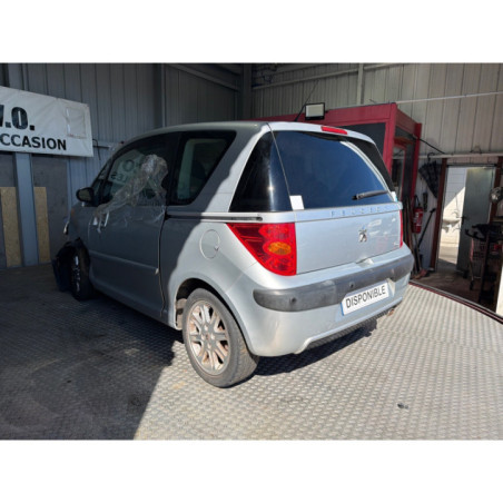 Mastervac PEUGEOT 1007