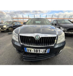 Malle/Hayon arriere SKODA OCTAVIA 2 Photo n°15