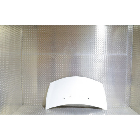Capot RENAULT CLIO 3 Photo n°1