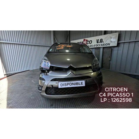Custode avant gauche CITROEN C4 PICASSO 1 Photo n°1