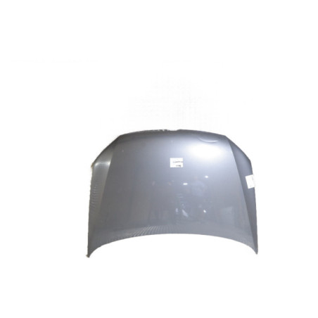 Capot VOLKSWAGEN POLO 5 Photo n°1