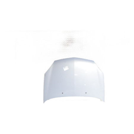 Capot RENAULT CLIO 2 Photo n°1