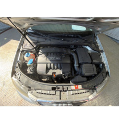 Capot AUDI A3 2 Photo n°10