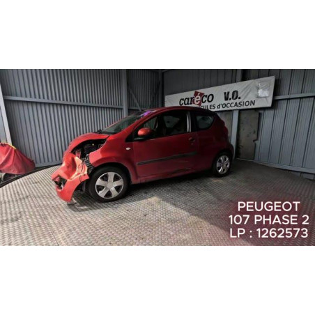 Mastervac PEUGEOT 107