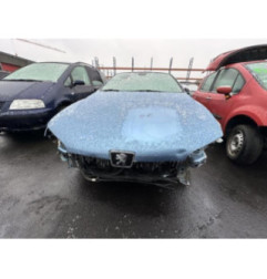 Porte avant droit PEUGEOT 406 Photo n°4