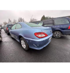 Porte avant droit PEUGEOT 406 Photo n°9