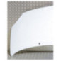 Capot RENAULT TWINGO 2