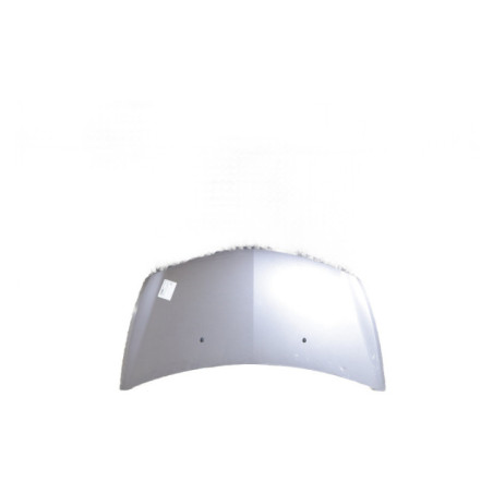 Capot RENAULT CLIO 3 Photo n°1