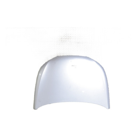 Capot SEAT IBIZA 4 Photo n°1