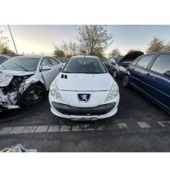 Capot PEUGEOT 206+ Photo n°11