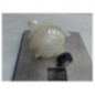 Vase d'expansion CITROEN C4 2