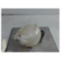 Vase d'expansion CITROEN C4 2