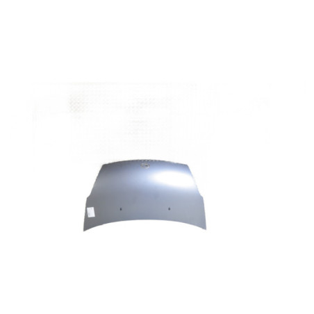 Capot DAIHATSU SIRION 2 Photo n°1