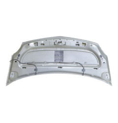 Capot RENAULT KANGOO 2 Photo n°4