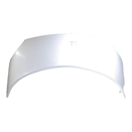 Capot RENAULT SCENIC 2 Photo n°1