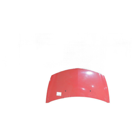 Capot RENAULT CLIO 3 Photo n°1
