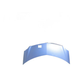 Capot RENAULT GRAND MODUS Photo n°1