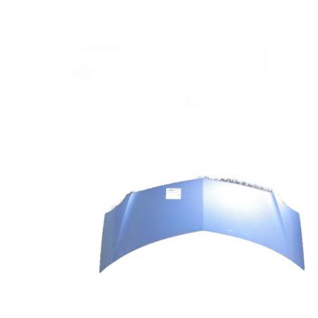 Capot RENAULT GRAND MODUS Photo n°1