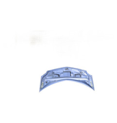 Capot RENAULT GRAND MODUS Photo n°4