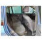 Capot RENAULT GRAND MODUS