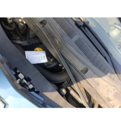 Capot RENAULT GRAND MODUS Photo n°19
