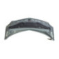 Capot RENAULT MODUS