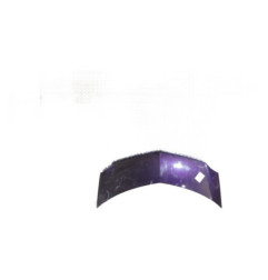 Capot RENAULT MODUS Photo n°1