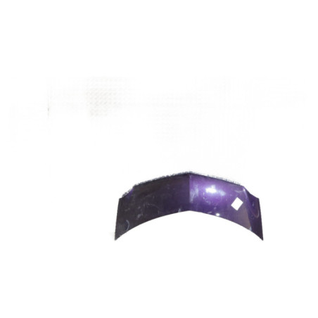 Capot RENAULT MODUS Photo n°1
