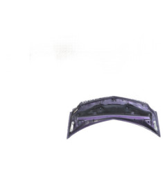 Capot RENAULT MODUS Photo n°4