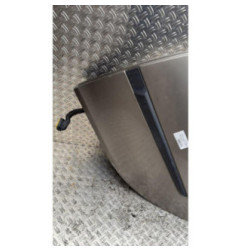 Porte arriere gauche RENAULT CLIO 3