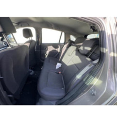 Porte arriere gauche RENAULT CLIO 3 Photo n°16