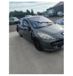 Porte avant gauche PEUGEOT 207 Photo n°6