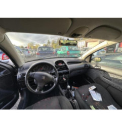 Vitre avant droit PEUGEOT 206 Photo n°7