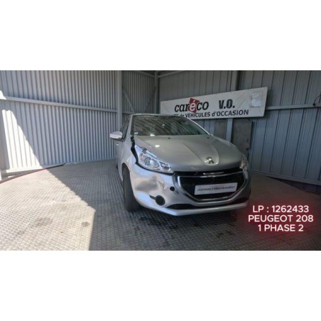 Mastervac PEUGEOT 208 1 Photo n°1