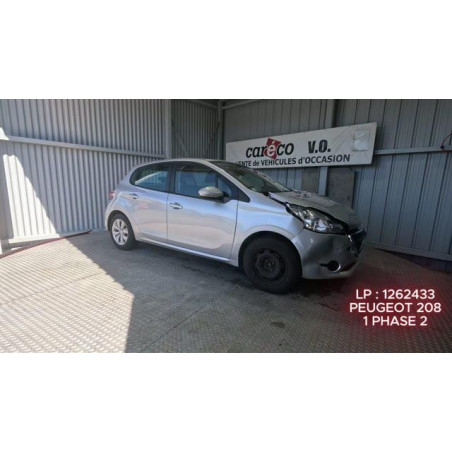 Mastervac PEUGEOT 208 1
