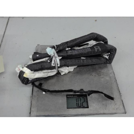 Air bag rideau droit CITROEN C4 PICASSO 1 Photo n°1