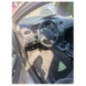 Commande chauffage FORD FOCUS 2